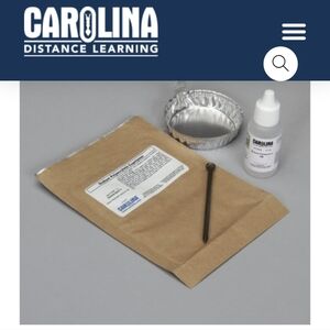 CAROLINA Exploring Physical+Chemical Changes Kit HOMESCHOOL science Experiment